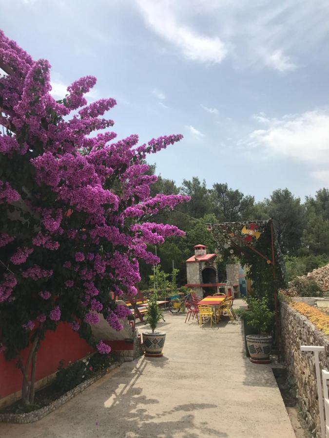 ביליצה Lipovac Resort Ficus מראה חיצוני תמונה